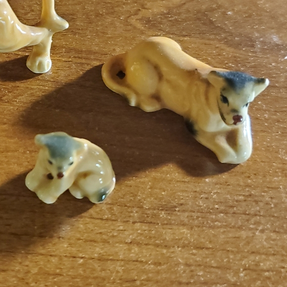 Lion lioness cub miniature - Picture 11 of 12